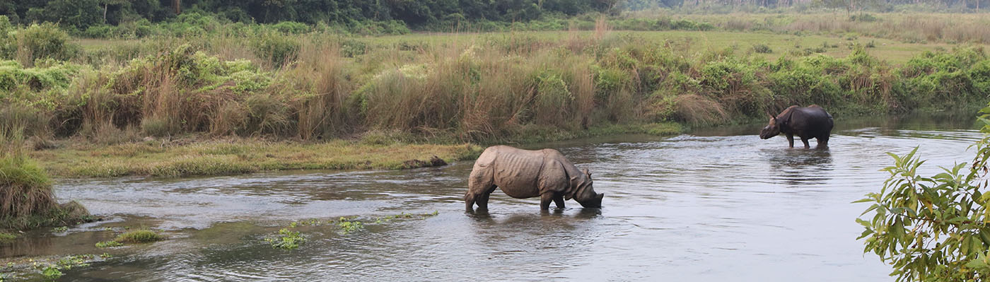 Chitwan Samaj